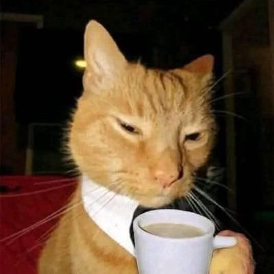 VanGarner36's profile picture. 