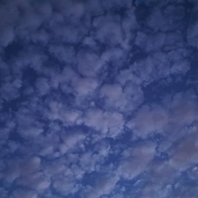 blazinflower420's profile picture. 