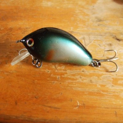 morino_post_mix's profile picture. 🌳📬、、、、(/・ω・)/、、(/・ω・)/　　　🌳🌳🌳🐿

🌳自然の恵みと癒しに感謝いたしております。
　 日々いろいろ・・・