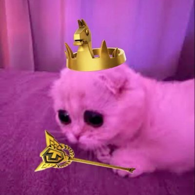 mohamedesl81696's profile picture. Egyptian player