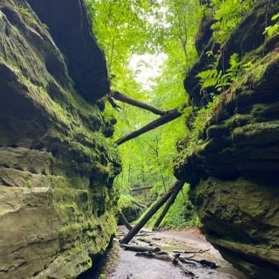 Boldmind80's profile picture. Follow me if you like old books, ancient sites, and good music.