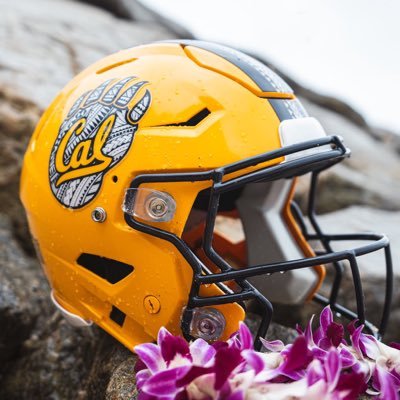 CalBearsGR8's profile picture. Go Bears!! Fight for THE University of California | Cal alum | Not affiliated with the university, not a booster | #GoBears  #Caloha #FightForCalifornia #ACC
