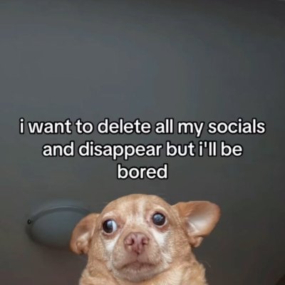 AngryMadViolin's profile picture. Shibari: @SiaRopeArt

Живу в Испании, работаю дредомастерицей и няней для животных.