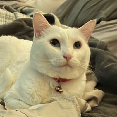 PharmManNick's profile picture. 