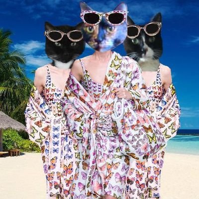 CinniMini2's profile picture. Cinni 4/17/2005-12/12/2018. Oreo 7/1/2003-11/22/2019. Hydrox 3/8/2005-10/24/2023. All 3 are #Nipclub DJs and @tbryant57 is their granny.