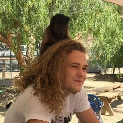 JURASSICEXPRESS's profile picture. jurassic express dictionary @HAYTERADE