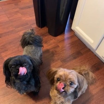 grandmaj2's profile picture. Mother, grandmother, Nam Vet widow!