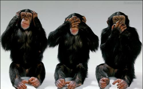 elipaoli's profile picture. una infinidad de cosillas y un poquito más