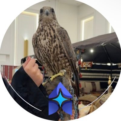 CSAlzAryam_'s profile picture. Computer Science student at @TaifUniversity | member of @PaicTaifUni, @AIPioneers & @MawhibaAlumni | interested in AI, Data 👩🏼‍💻