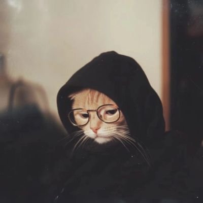 jojorabbit217's profile picture. Meow!
