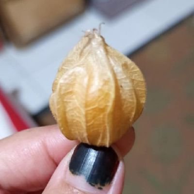 AmoySilvany's profile picture. IBR follow yu ah