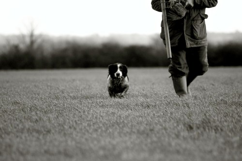 Gamekeeper for over 40 years.