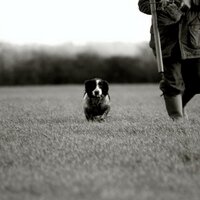 Lazy Gamekeeper (@lazygamekeeper) 's Twitter Profile