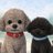 luku20121215's profile image