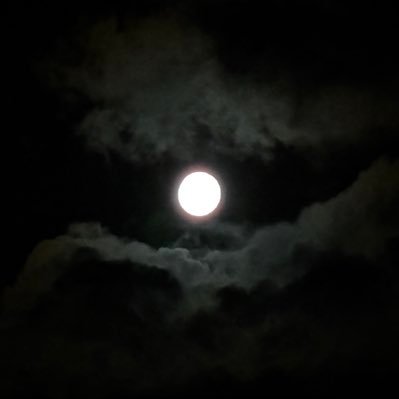 xaviermendez125's profile picture. 