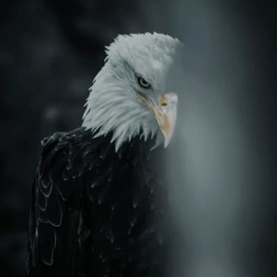 Gpasssss's profile picture. | If you see the Vision Its Attainable.| Glory