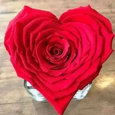 SyedkaifP12578's profile picture. 