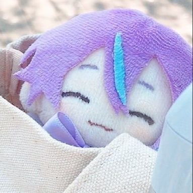 RUIKAMISHlRO's profile picture. nothing fixed, everything is possible~ 🐬🪼