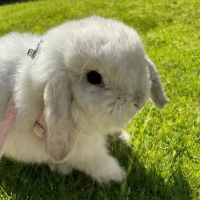 1024_gina's profile picture. 记录，投机，盈亏自负 #Binance 近3亿用户选择，联系➡️https://t.co/dOLJ73y9ua