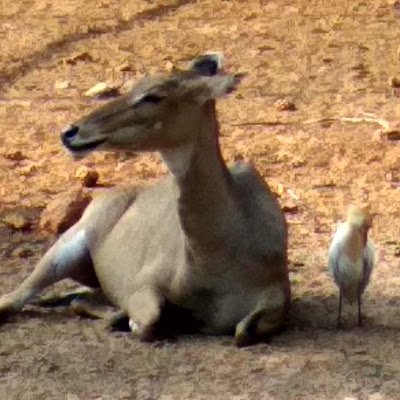 panic_handler's profile picture. 