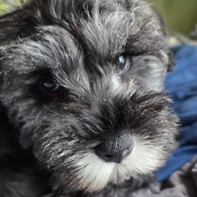 TimWhelan6's profile picture. 