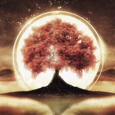 giftofthenile's profile picture. Sol Invictus