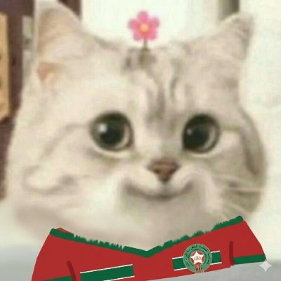 dotyousra's profile picture. data manager thinking out loud #readabook