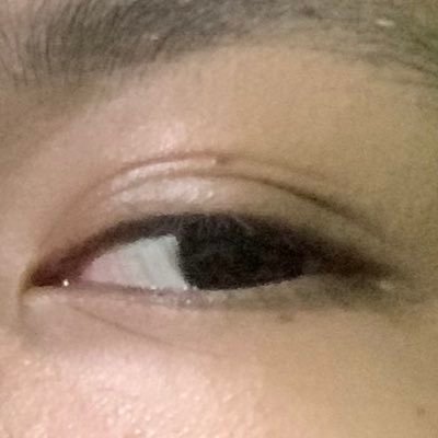 anapha024900lll's profile picture. detoxification enjoyer, japanese enjoyer