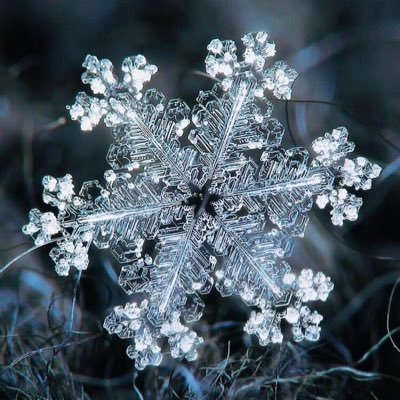 patitapuma's profile picture. "La vida, un milagro", RX🍀