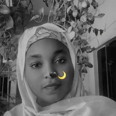 yar_chipchip's profile picture. Data Scientist,  Entrepreneur
 *Dm strictly for business * 🇳🇬 🇵🇸 
توكلنا على الحي الذي لا يموت