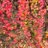 Hdscan_'s profile image