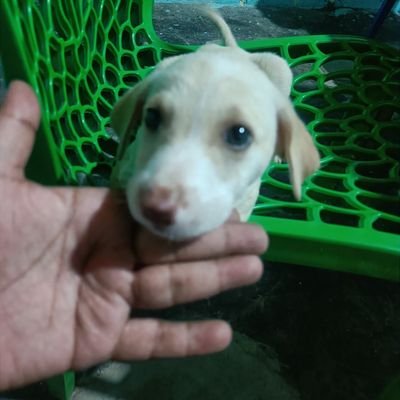 457nnbba's profile picture. Robotics + Agriculture

ಕನ್ನಡಾಂಬೆಯ ಮಗ 💛♥️