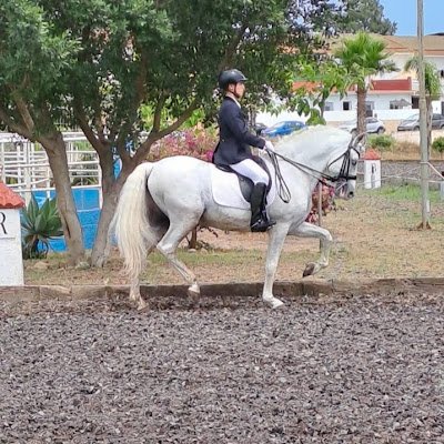 josemanvaz1702's profile picture. 