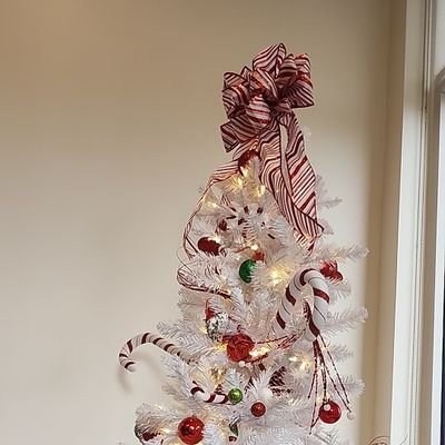 gxgpfp's profile picture. 