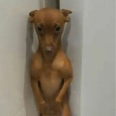 Matiasgxjk's profile picture. 