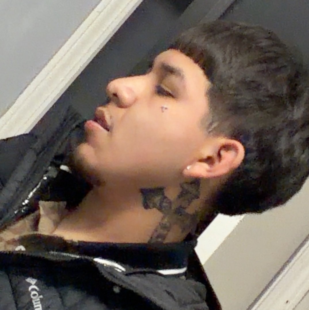 Chinoo1300's profile picture. 