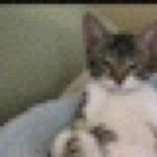 matthewsculthor's profile picture. 