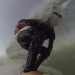 NeuroRazz's profile picture. Neuroscientist. Sharing concepts about movement control for animals and robots. Also on space travel, autonomous vehicles, surfing