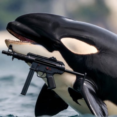 nacyfink's profile picture. 