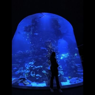 __agg24's profile picture. ♌.    244🕊️❤️‍🩹