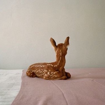 mkrascoo's profile picture. gato cae del cielo, noquea a hombre y pelea con perro con zapatos