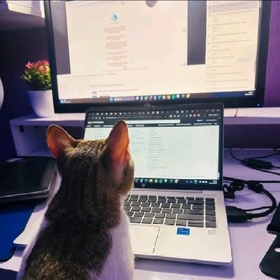 ArAiRE_Official's profile picture. Documenting my journey #InCybersecurity ⏳ • ISC2 CC  • ISO/IEC 27001• SA to NACSS President, UNIOSUN 2025/2026 Media & Creative Designs 🎨.