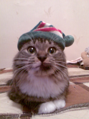 Jan4uki's profile picture. 