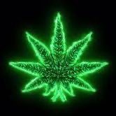 pvguerra98's profile picture. No time for negativity 🚫 Fouder & CEO of { cookies 🍪 🍁 } Founder & CEO