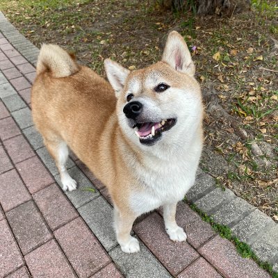 kevin0551021's profile picture. 