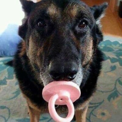 cheeseman375's profile picture. 