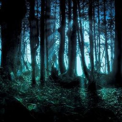 MohdYusufA81607's profile picture. 