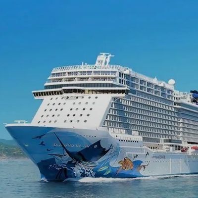 chse895's profile picture. 