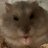 ham2ki's profile image
