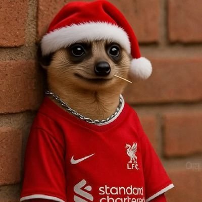 elton_ynwa's profile picture. "Nada é ka impossível pa homis de bom kuraçon"
Biologist 🧬
Liverpool the best English team and most successful English team.